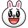 🐰