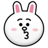 🐰