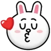 🐰