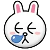 🐰