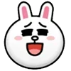 🐰