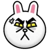 🐰