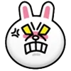 🐰