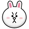 🐰
