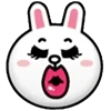 🐰