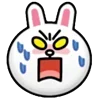 🐰