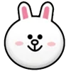 🐰