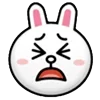 🐰