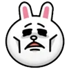 🐰