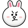 🐰