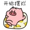 🐷