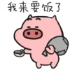 🐷