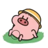 🐷