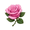 🌹