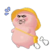 🐖