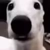 🥶
