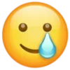 🥲