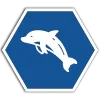 🐬