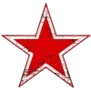 🌟