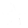 ⭐️