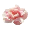 🌸