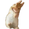 👋