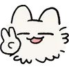 🐱