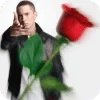 🌹