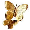 🦋