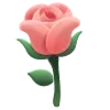 🌹