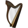 🎻