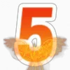 5️⃣