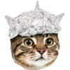 😹