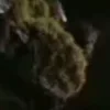 ⭐