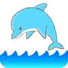 🐬