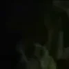 ⭐