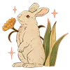 🐇
