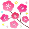 🌺
