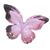 🦋