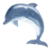 🐬