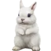 🐇