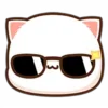😎