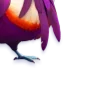 🪹
