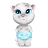 🐱