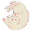 🐱