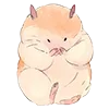 🐹