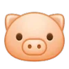 🐷