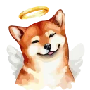 😇