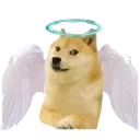 😇