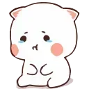 😿